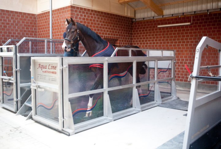 Aquatrainer Activomed, bassin de marche pour chevaux