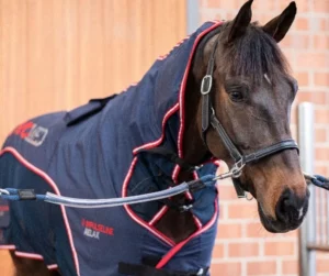 Antérieurs d’un cheval au travail
