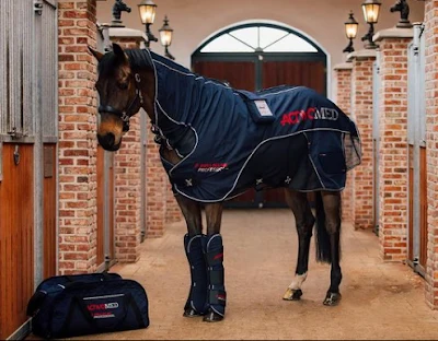 Schéma d’une articulation de cheval
