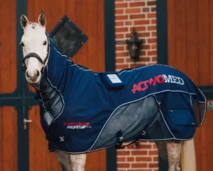 Cheval attentif dans son environnement