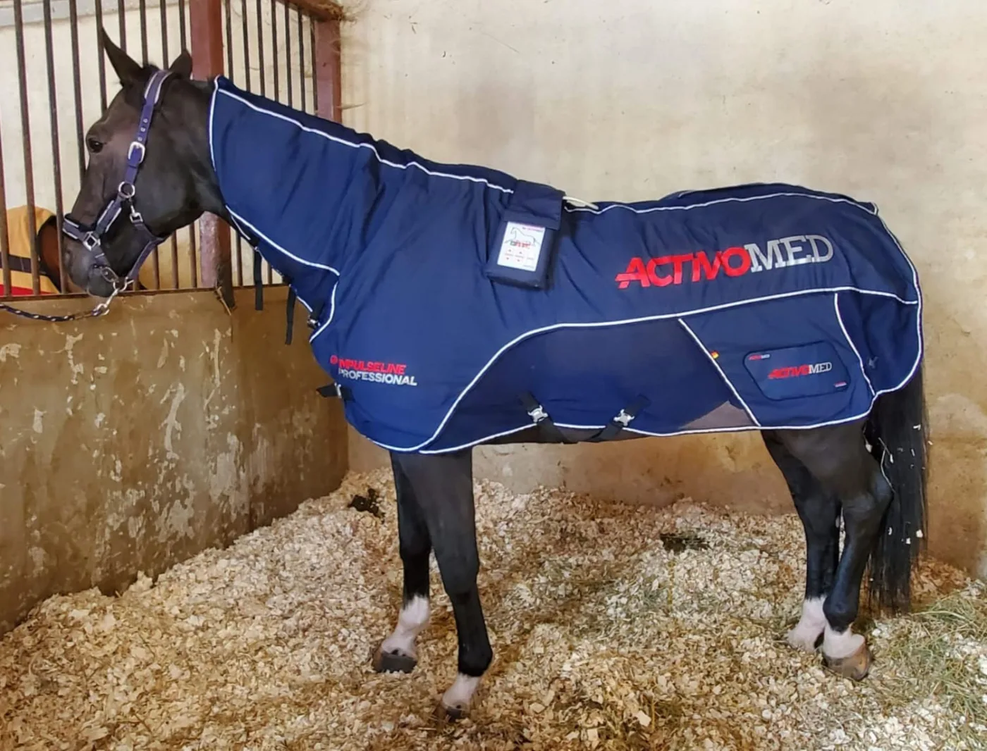 Cheval portant une couverture Activomed au box