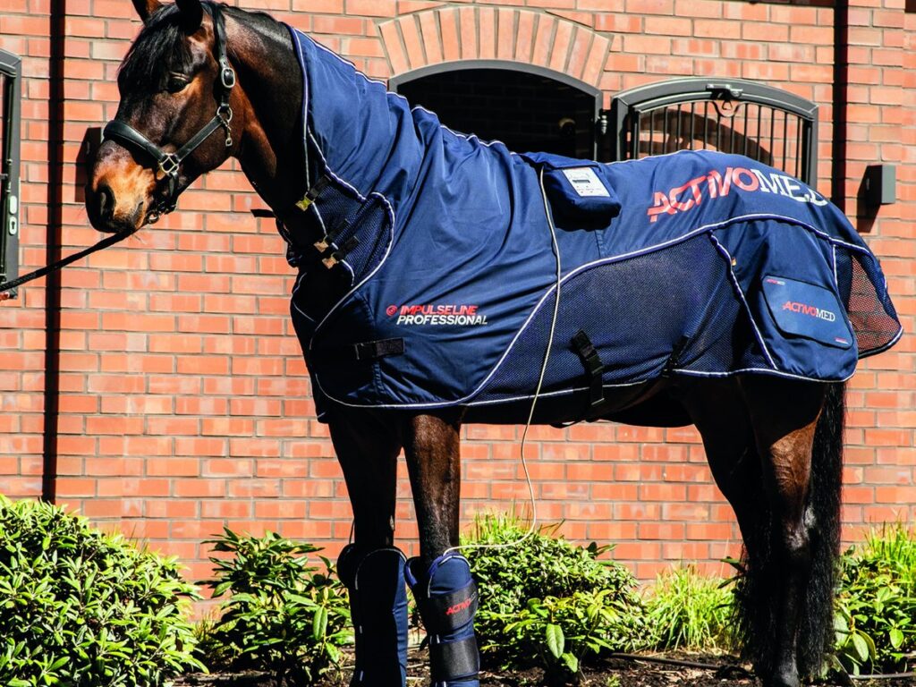 Un cheval équipé de la couverture et des guêtres Activomed Impulseline, pilotées par le même boîtier