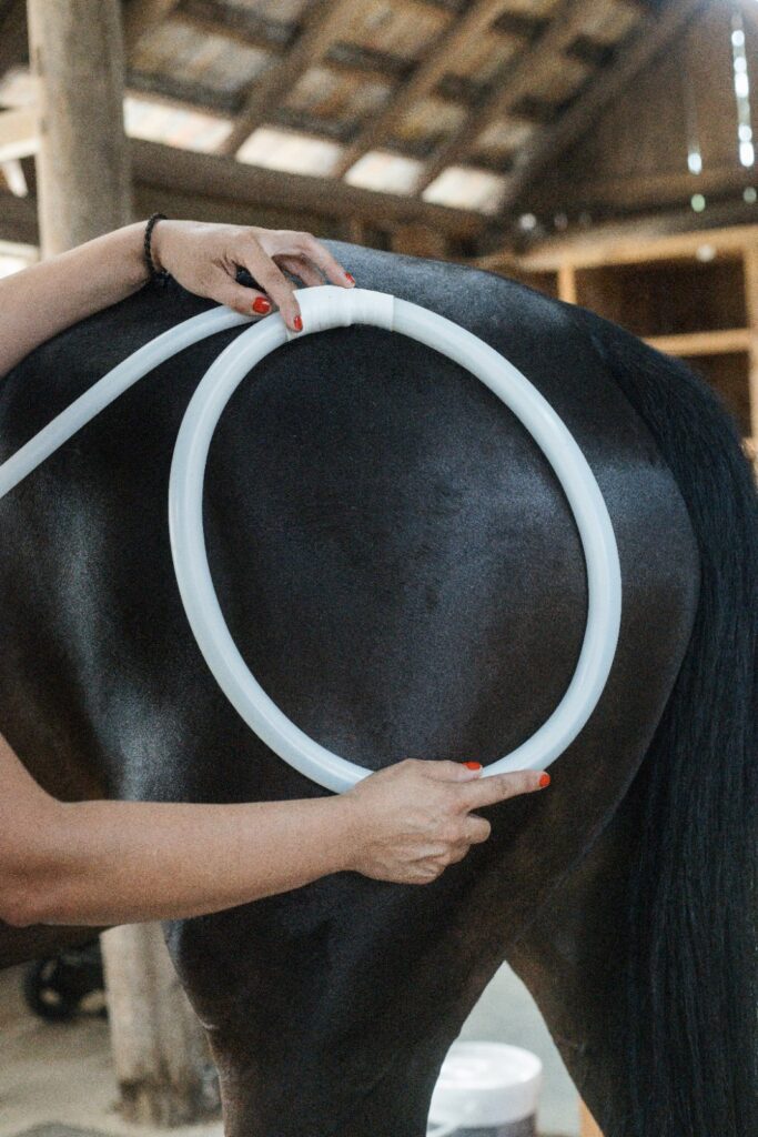Anneau souple MagnaWave positionne le long du dos du cheval