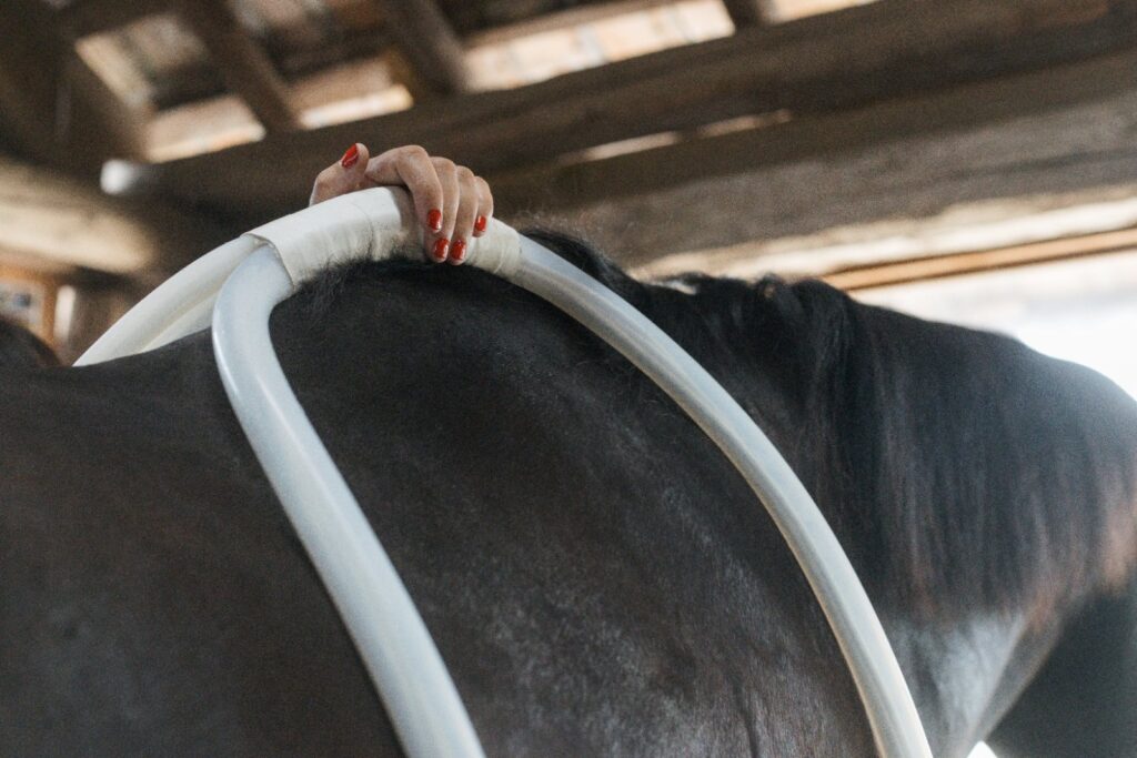 Anneau souple MagnaWave tenu a la main pres du cheval