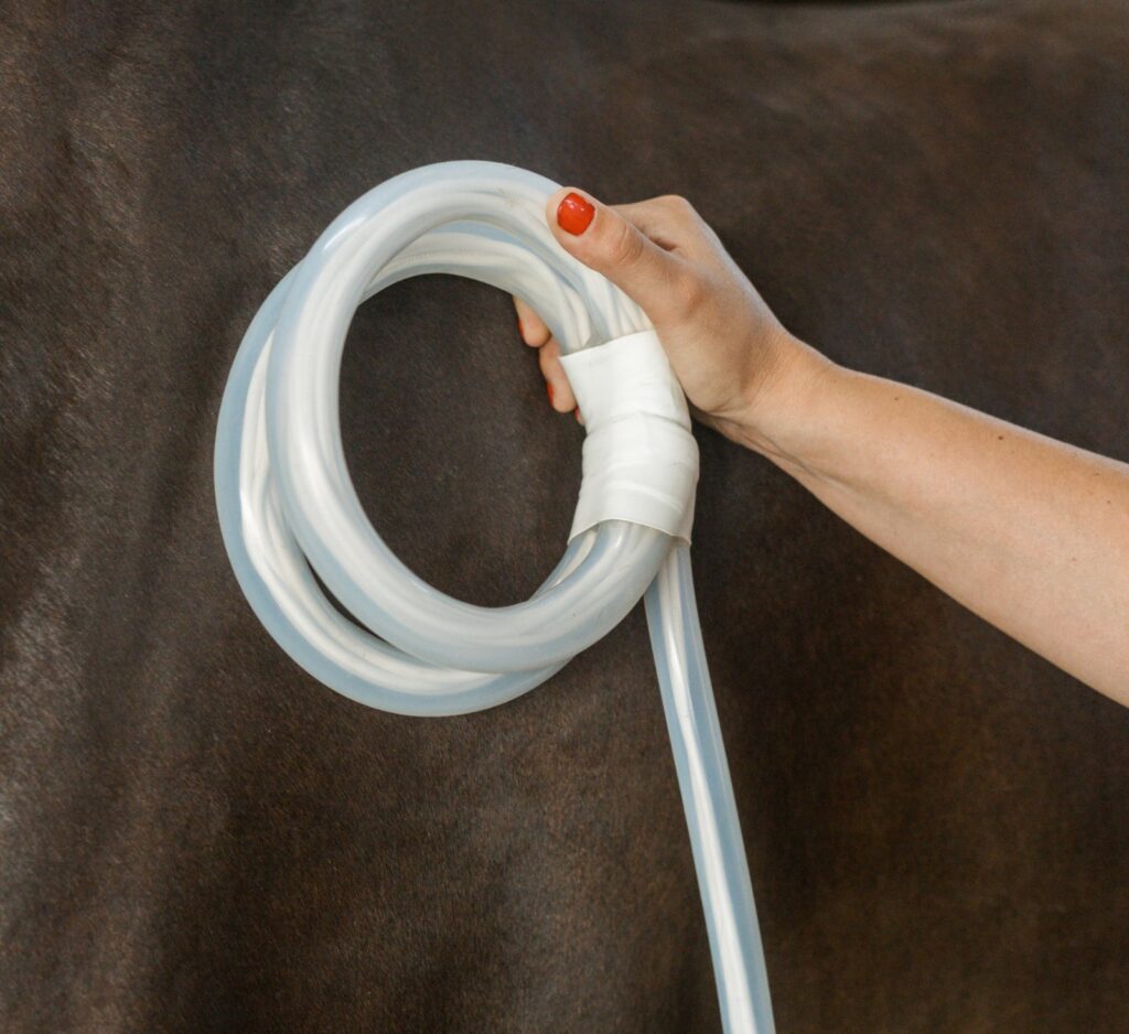 Pose dun anneau souple MagnaWave sur le cheval