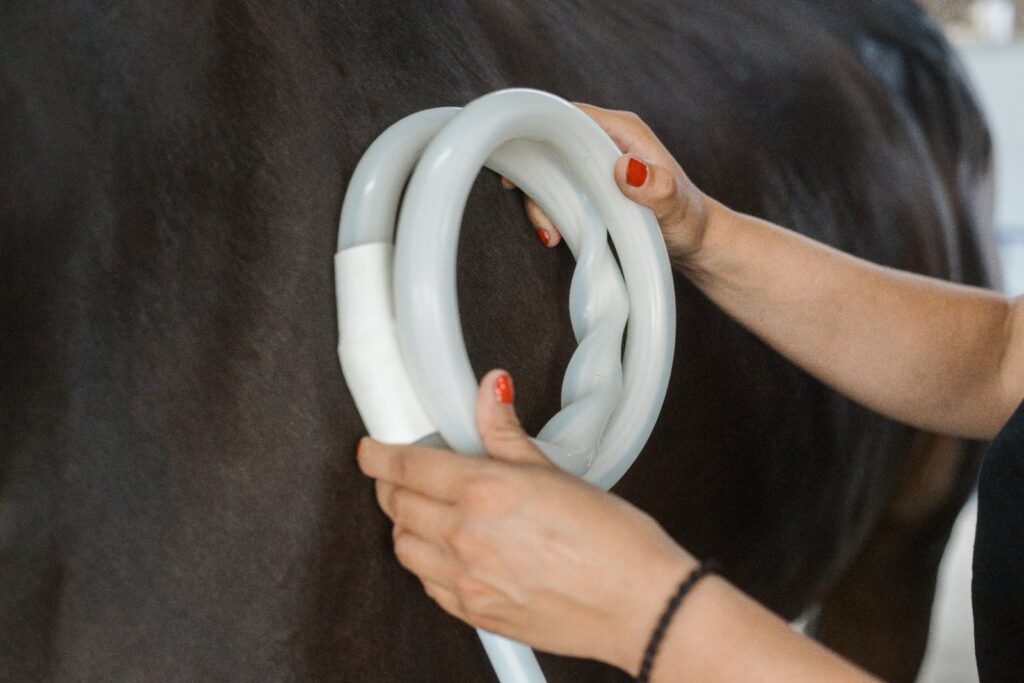 Grande boucle MagnaWave sur le dos et la croupe du cheval