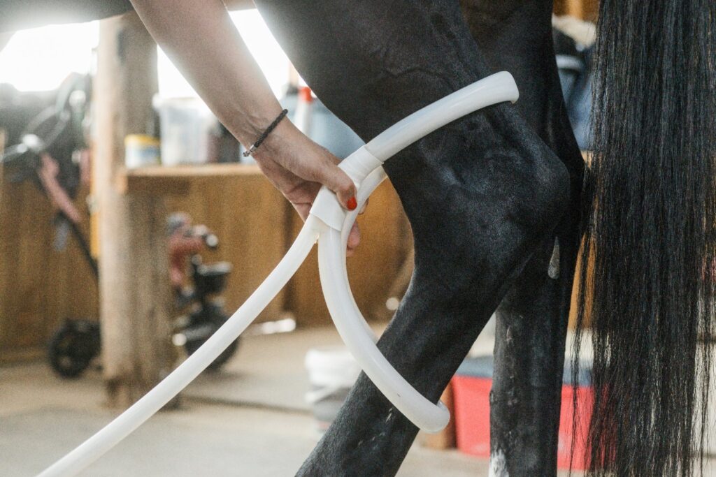 Mise en place de la grande boucle MagnaWave sur le cheval