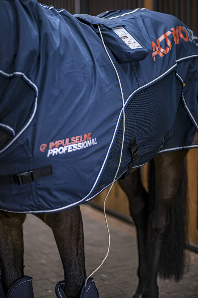 Cheval sous couverture Activomed devant les box
