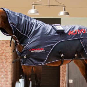 Cheval de profil sous la couverture Activomed Impulseline Professionnel, dans l'allée de l'écurie