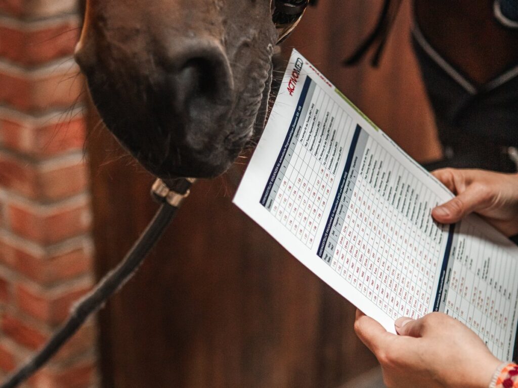 La fiche des programmes et séquences Activomed Impulseline consultée devant le cheval