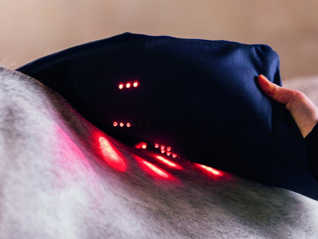 Le Power Pad Activomed Impulseline WLP appliqué sur le dos du cheval