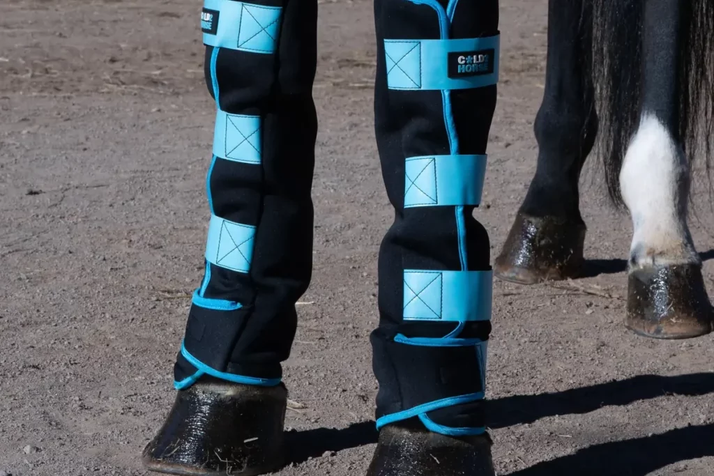 Guêtres de cryothérapie Cold2Horse CryoBoots posées sur les antérieurs d'un cheval